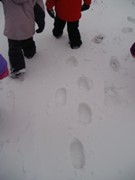 Výprava do zimního lesa